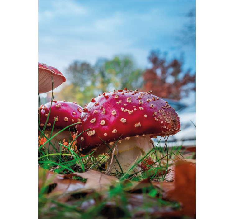 Vibrant Red Mushrooms blind flowers - TenStickers