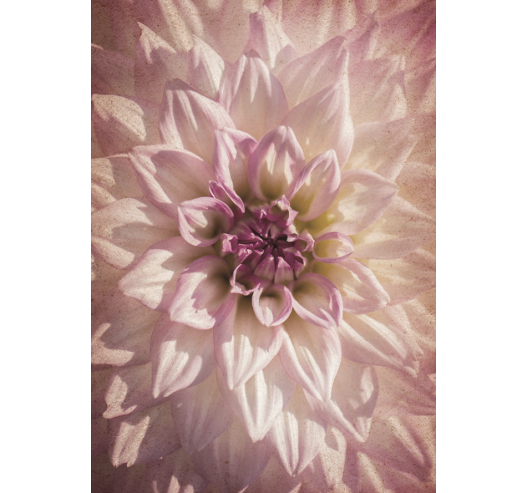 Delicate bloom blind flowers - TenStickers