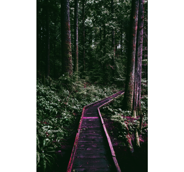 Forest Pathway blind trees - TenStickers