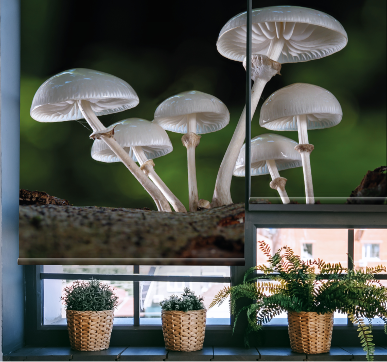 Mushroom Cluster blind flowers - TenStickers