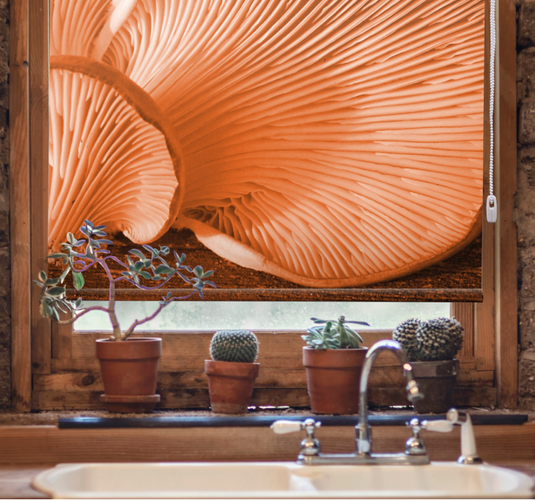 Mushroom Gills Close-Up blind fruit - TenStickers