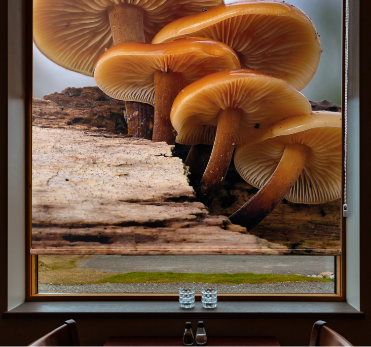 Mushroom Growth blind flowers - TenStickers