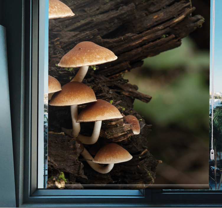 Mushrooms on Wood blind flowers - TenStickers