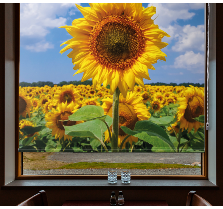 Sunflower Field Scene blind flowers - TenStickers