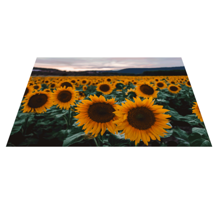 Original placemats sunflower field scene - TenStickers