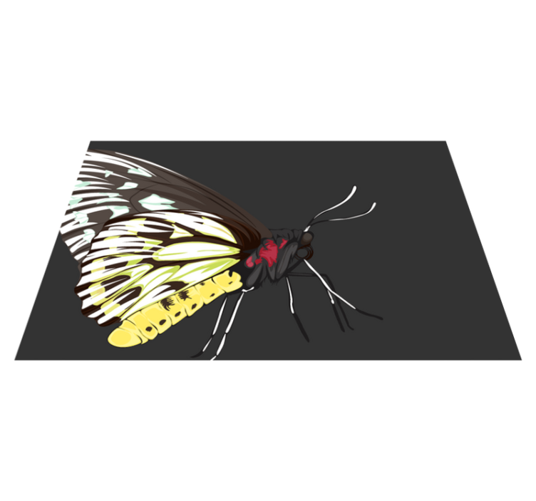 Original placemats colorful butterfly design - TenStickers