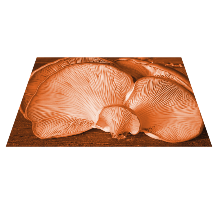 Textured placemats in mushroom kitchen style - TenStickers