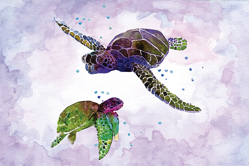 Colorful turtles animal placemats - TenStickers
