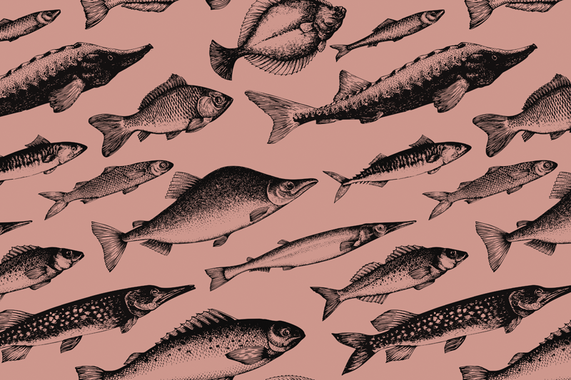 Original placemats fish pattern design - TenStickers