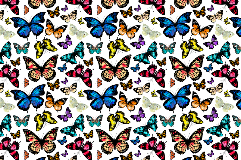 Beautiful and Colorful butterflies placemats - TenStickers
