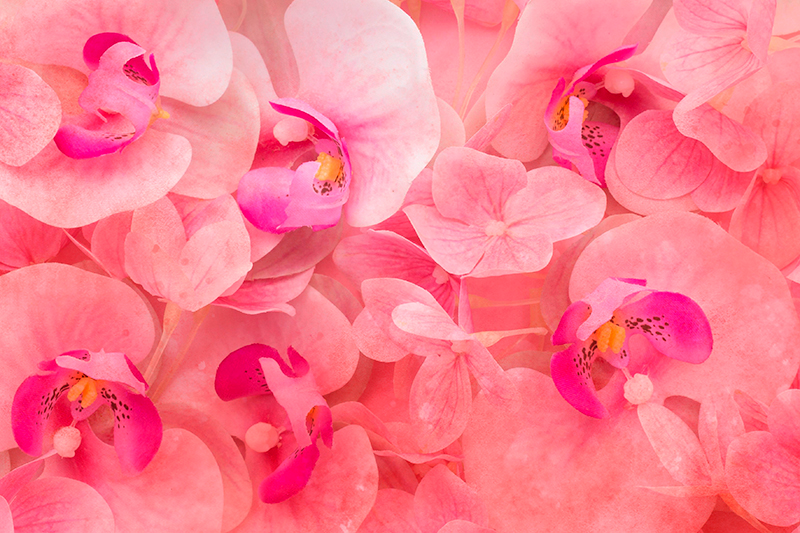 Pink flowers with a yellow middle placemats - TenStickers