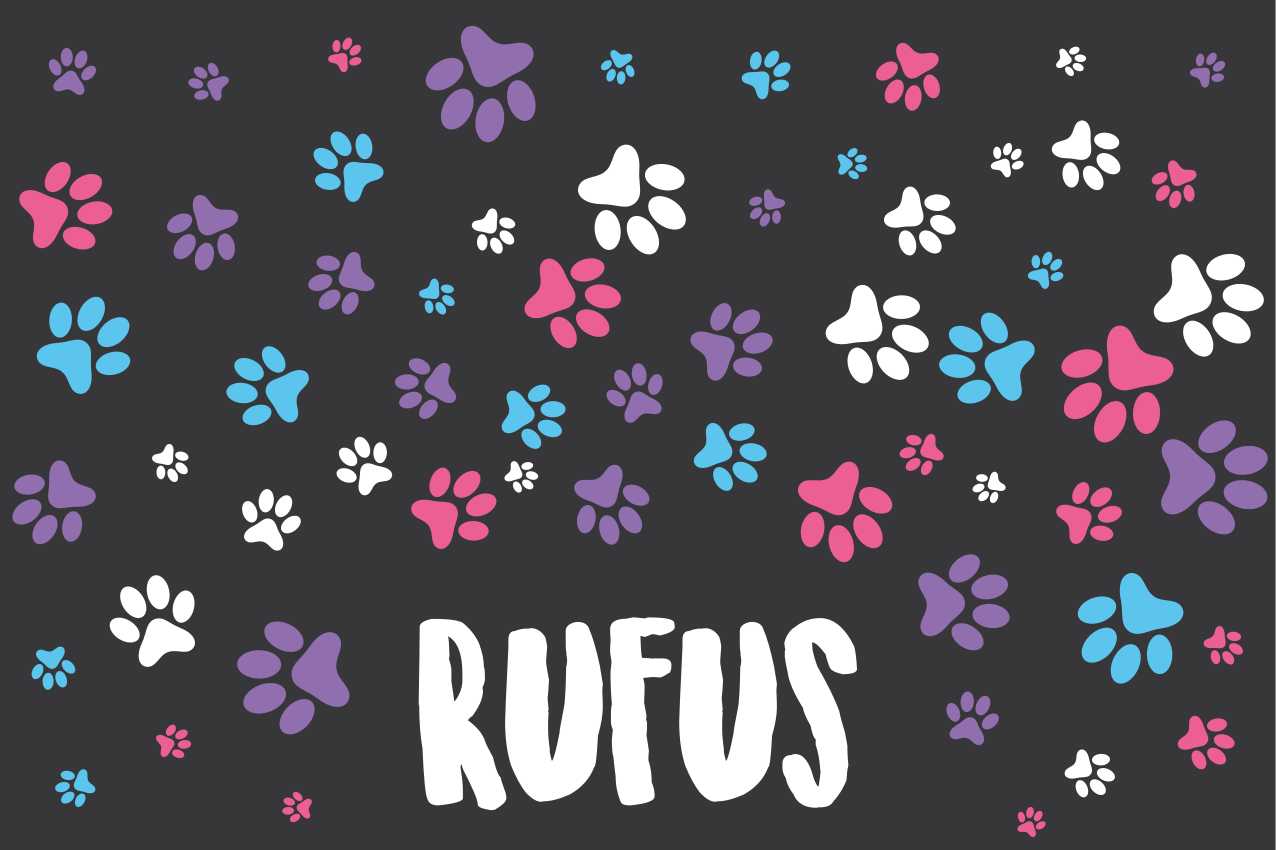 Children placemats colorful paw prints - TenStickers