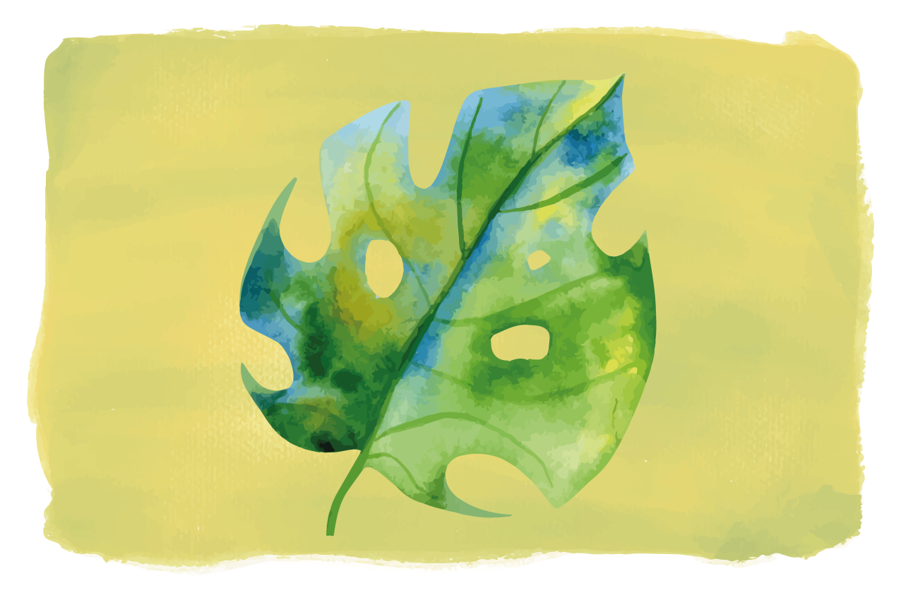 Original placemats monstera leaf pattern - TenStickers