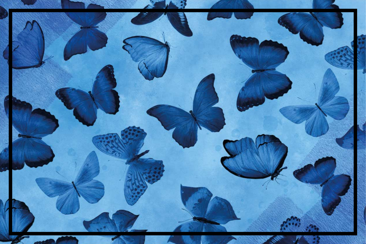 Textured placemats with butterfly pattern design - TenStickers