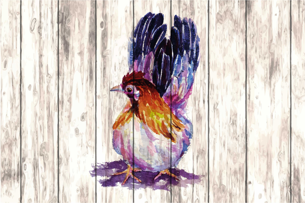 Original placemats colorful bird illustration - TenStickers