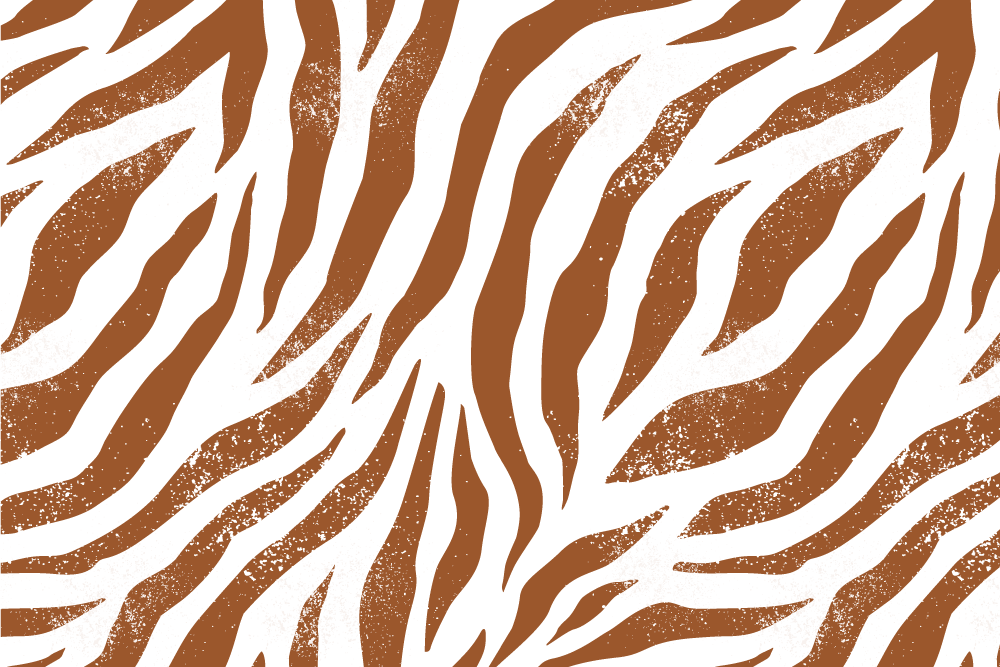 Textured placemats zebra print table cover - TenStickers