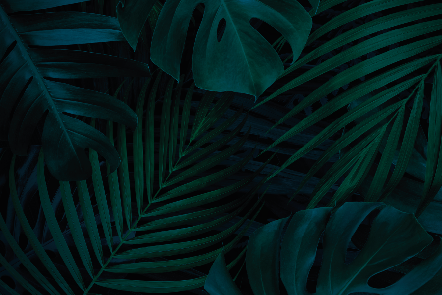 Textured placemats with tropical leaf design - TenStickers