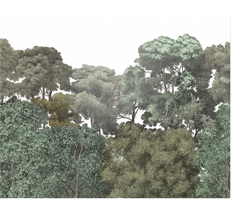 Elegant rainforest motif murals for teenage bedrooms - TenStickers