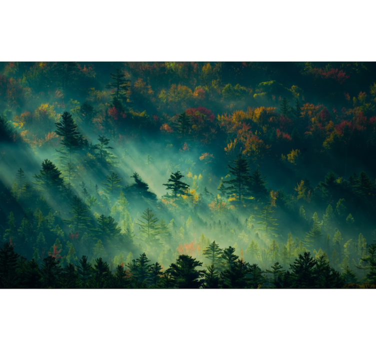 Forest wall mural the mysterious forest - TenStickers