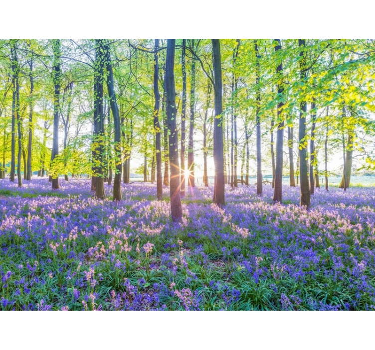 Forest wall mural inspired by nature's modernism - TenStickers