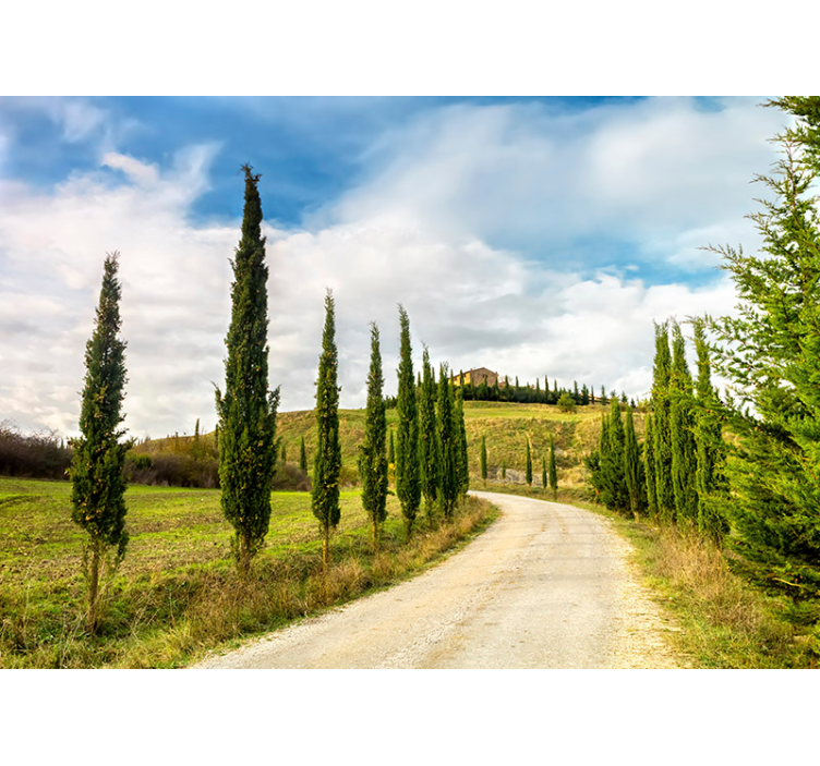 Fotomurale paesaggio colline Toscane nature wall mural - TenStickers