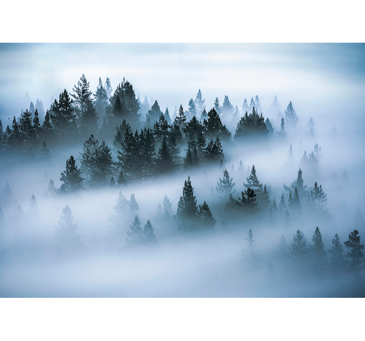 Morning fog forest wall mural - TenStickers