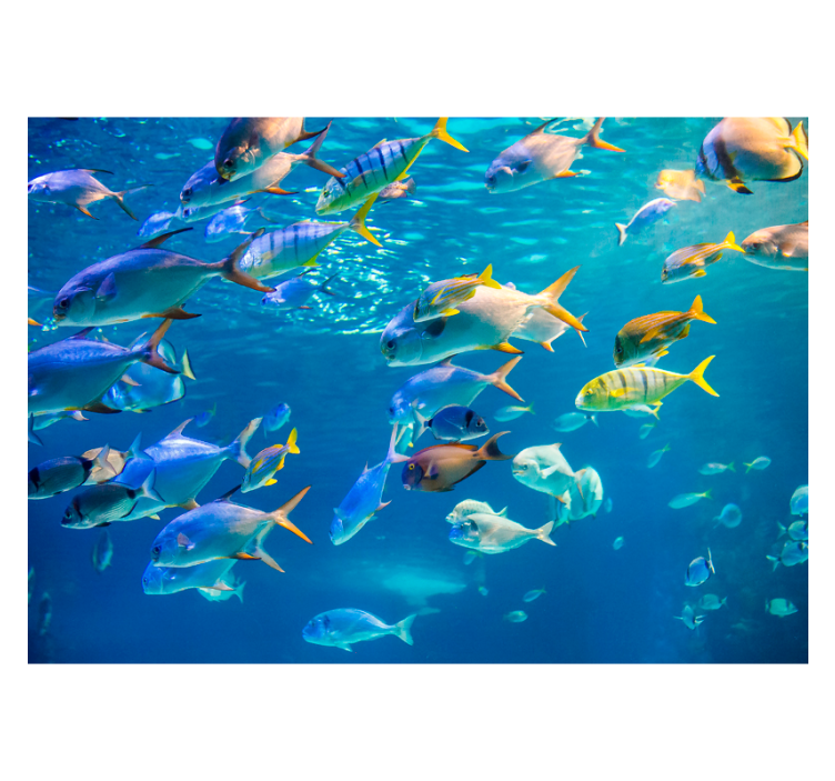 Wall mural animals underwater fish schooling - TenStickers