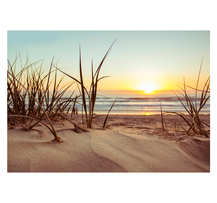 Landscape wall mural serene beach sunset - TenStickers