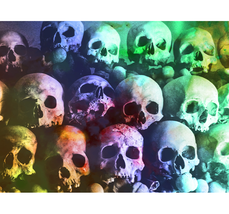 Colorful skull wall mural - TenStickers