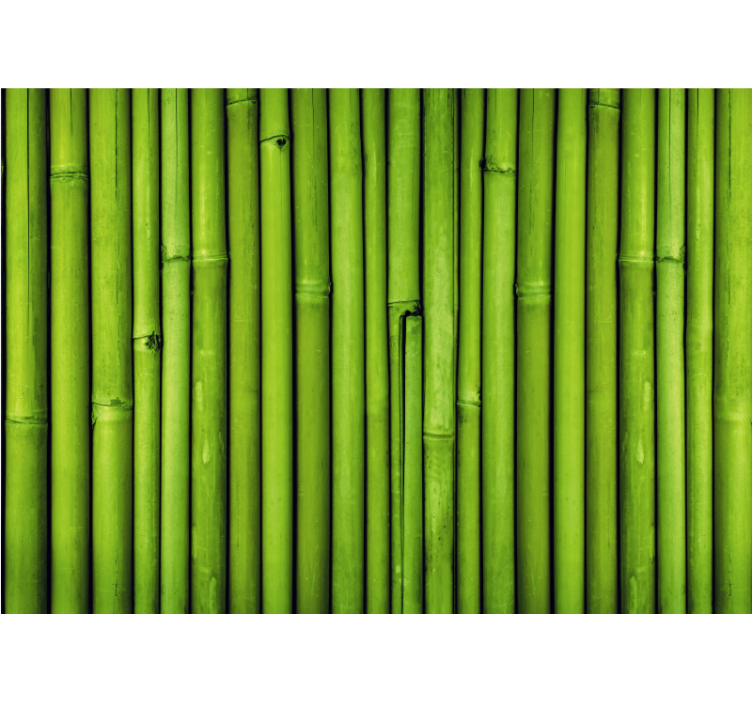 Wall mural bamboo green bamboo stalks - TenStickers