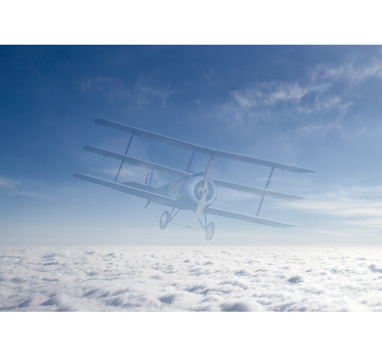 Vintage Airplane Flight automotive wall murals - TenStickers