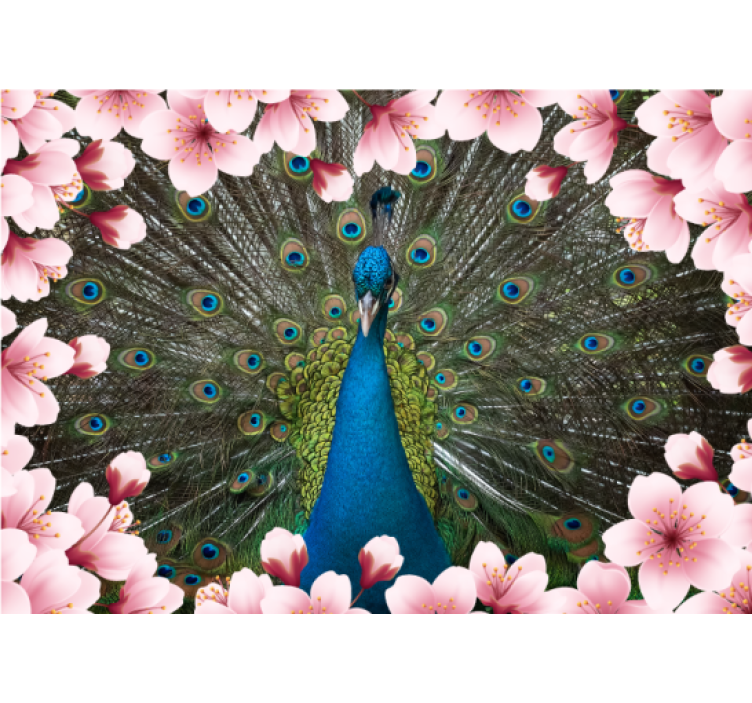 Majestic Peacock Display wall mural animals - TenStickers