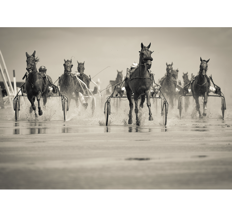 Horses Racing Together wall mural animals - TenStickers