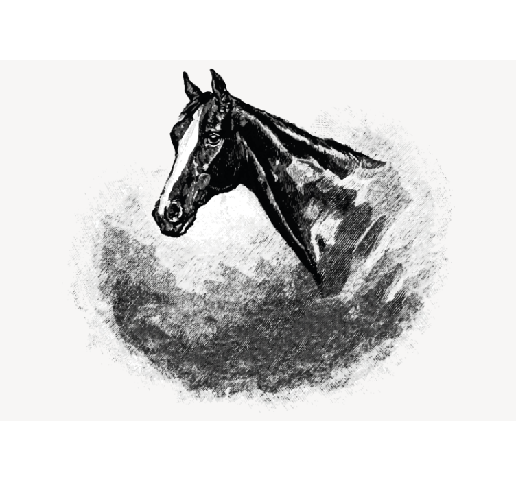 Wall mural animals stallion head - TenStickers