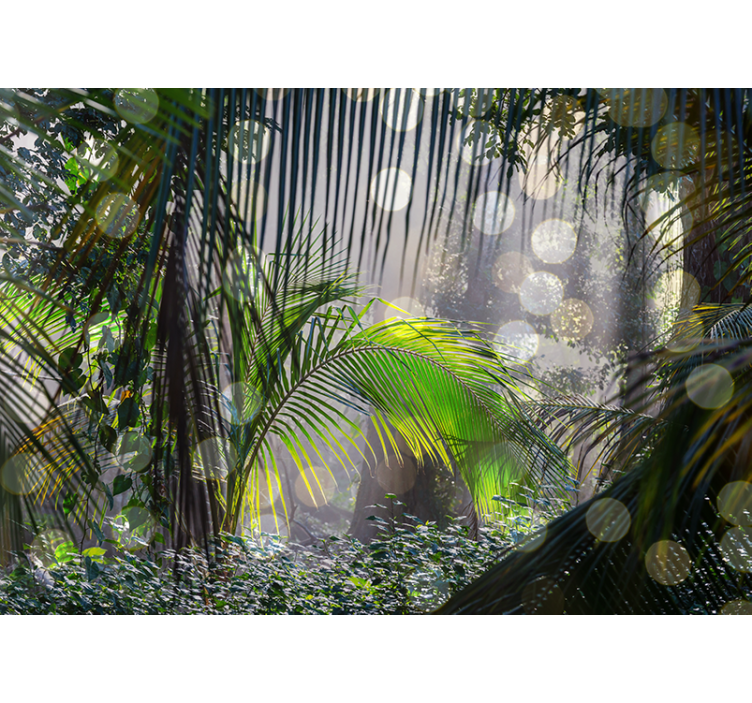 Amazonian lights Forest Wall Mural - TenStickers