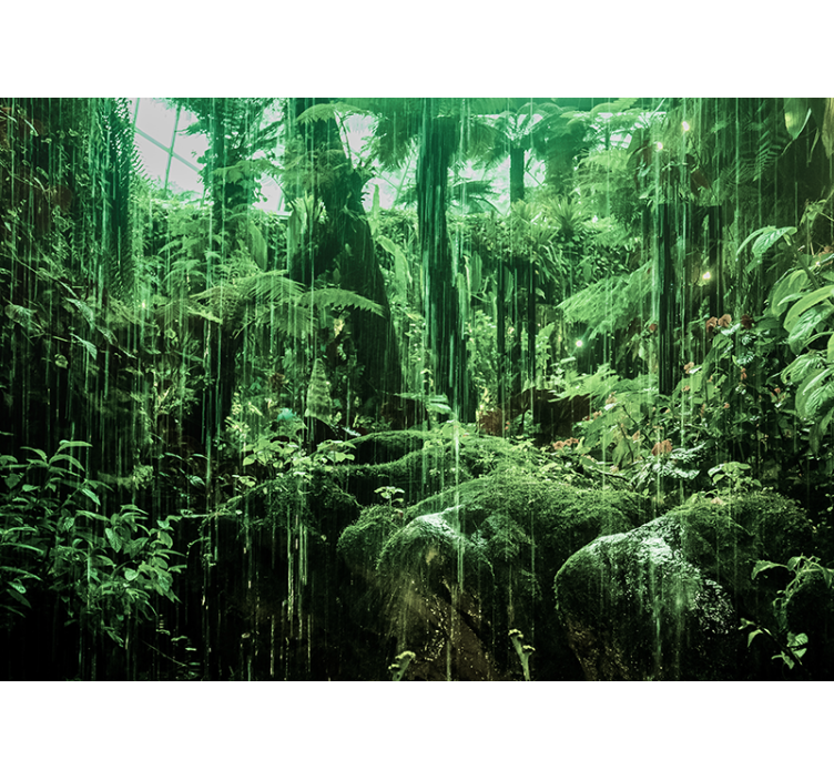 Wall mural jungle lush tropical canopy - TenStickers