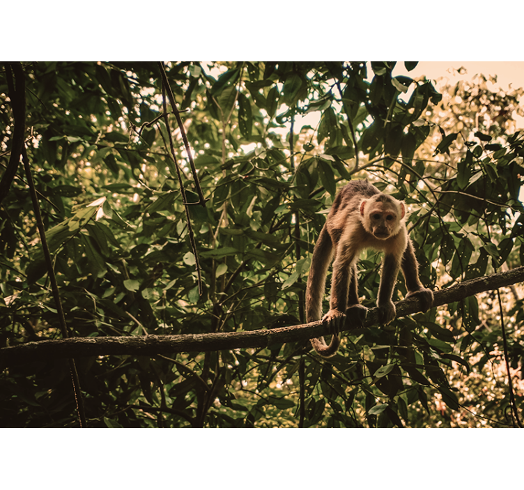 Monkey on Branch wall mural animals - TenStickers