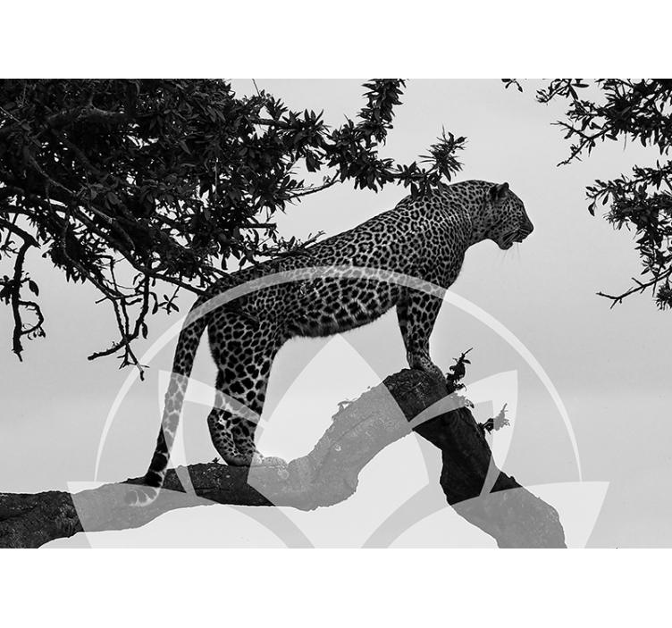 Leopard in Tree wall mural animals - TenStickers
