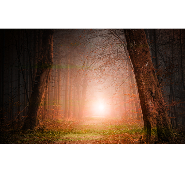 Enigmatic Woodland Trail forest wall mural - TenStickers