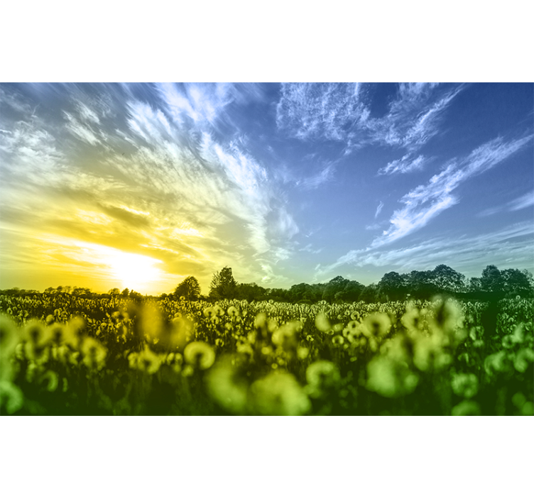 Sunset Flower Field flowers wall mural - TenStickers