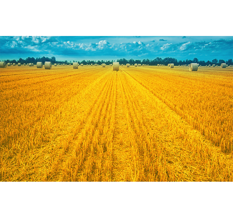 Golden Harvest Field landscape wall mural - TenStickers