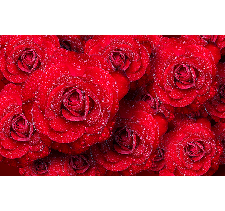 Roses wall mural red blooming roses - TenStickers