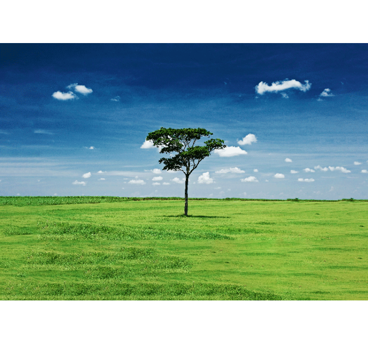 Lone Green Tree nature wall mural - TenStickers