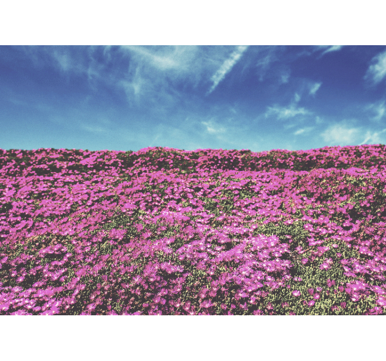 Vibrant Pink Blossoms flowers wall mural - TenStickers