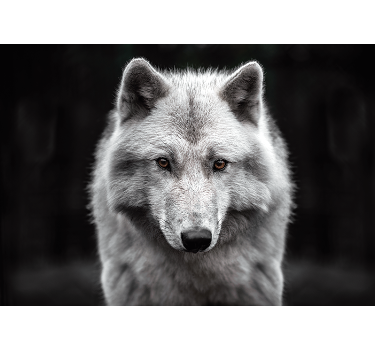 Majestic Wolf Portrait wall mural animals - TenStickers
