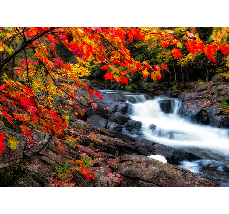 Forest wall mural autumn waterfall scene - TenStickers
