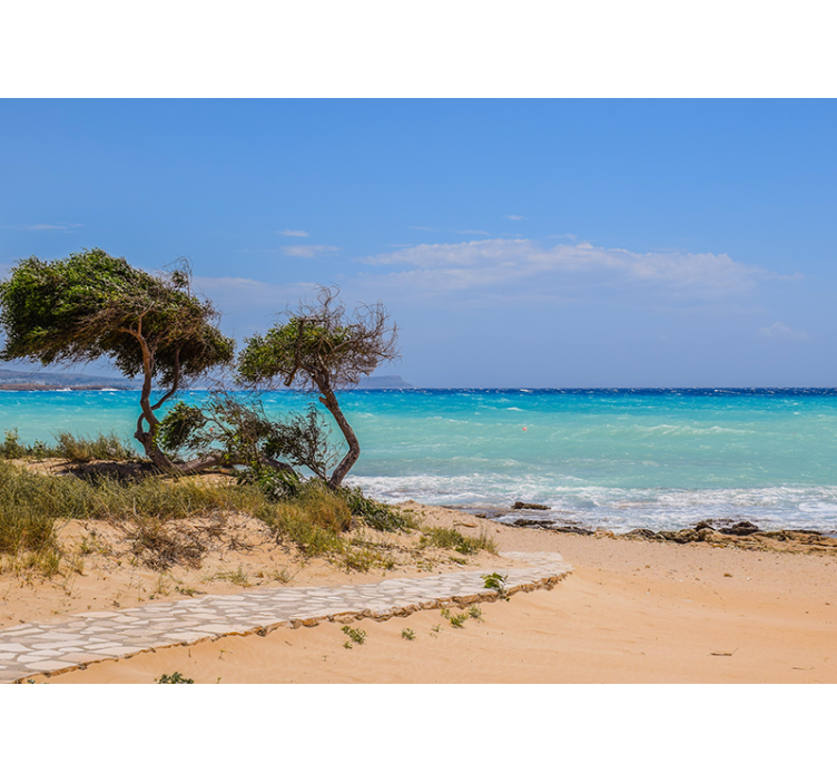 Serene scene path sea wall mural - TenStickers