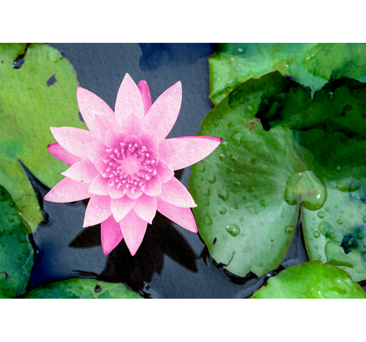 Pink Lotus Blossom flowers wall mural - TenStickers