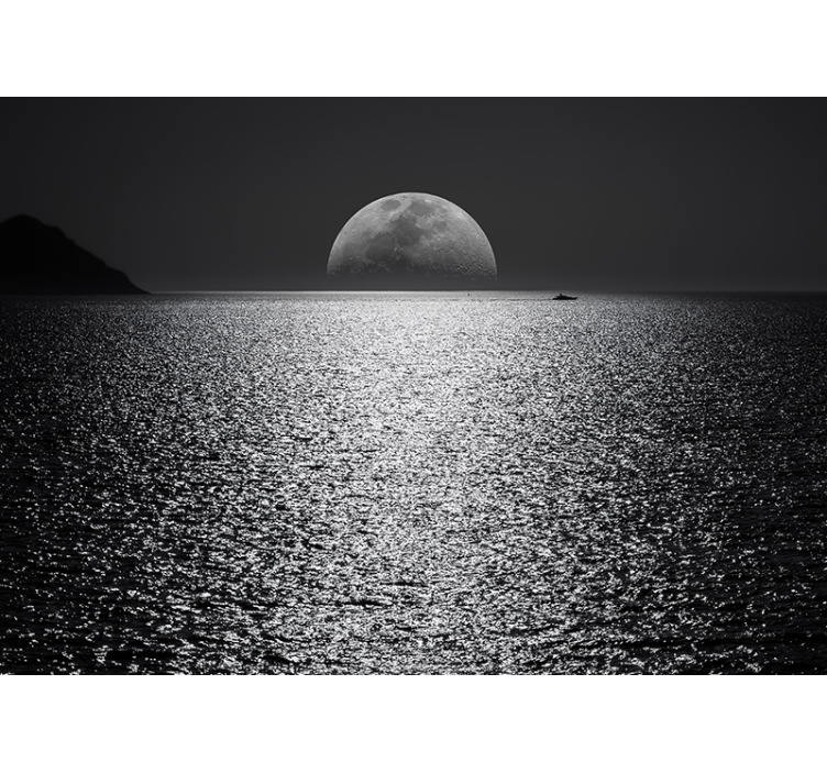 Moonlit view sea wall mural - TenStickers