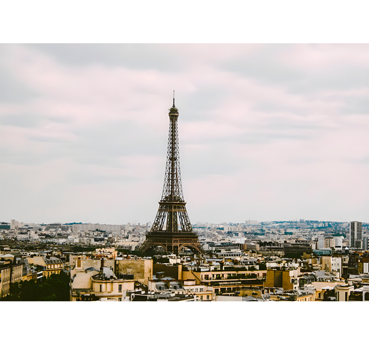 Wall mural paris eiffel tower scenic view - TenStickers